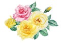 Roses. Hand drawn watercolor painting on white background. bouquet of pink and yellow flowers Royalty Free Stock Photo