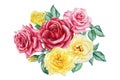 Roses. Hand drawn watercolor painting on white background. bouquet of pink and yellow flowers Royalty Free Stock Photo