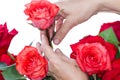 Roses and hands Florist