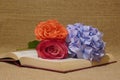 Roses and hydrangea flowers on open book