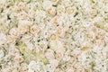 Roses, hydrangea, peonies flower as background Royalty Free Stock Photo