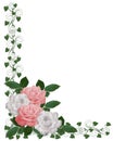 Roses and Ivy wedding corner design Royalty Free Stock Photo