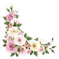 Roses and lisianthus flowers. Vector corner background. Royalty Free Stock Photo