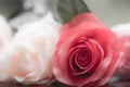 Roses made of fabric Royalty Free Stock Photo