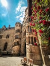 Roses in Marienburg Castle