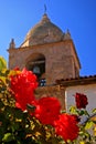 Roses at Mission Carmel Royalty Free Stock Photo