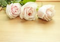 Roses for Mother's Day Royalty Free Stock Photo