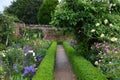 Roses, Mottisfont Abbey, Hampshire, England. Royalty Free Stock Photo