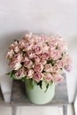 Roses of multicolor, pastel pink and lilac color. Lots of buds. Floral natural backdrop. Flower shop concept