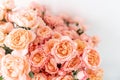 Roses of multicolor, pastel pink and pale orange color. Lots of buds. Floral natural backdrop. Flower shop concept