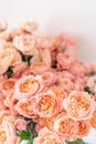 Roses of multicolor, pastel pink and pale orange color. Lots of buds. Floral natural backdrop. Flower shop concept