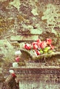 Roses on the old tomb Royalty Free Stock Photo