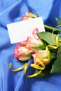 Roses over blue silk background Royalty Free Stock Photo