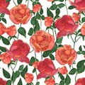 Roses peony seamless pattern. Hand drawn watercolor botanical illustration.