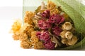 Roses, petal, flower Royalty Free Stock Photo