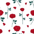 Roses and petals seamless pattern Royalty Free Stock Photo