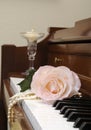 Roses on a piano