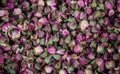 Roses pink, dried on heap. Antioxidant and healthy rosebuds for background. Close up view.