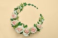 Roses pink flowers and green leaves circle on beige floral background. Flat lay