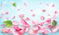Rose and petals falling romance blank page watercolor painting Royalty Free Stock Photo