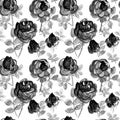 Roses raster watercolor seamless pattern