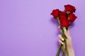 Roses on red background . Top view and mock up. Mother and valentine day. Women holidays . Wallpaper and romantic concept Royalty Free Stock Photo