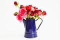 Roses are red in blue kettle isolated on white Royalty Free Stock Photo