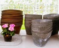Roses and retro style metal flower pots