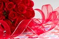 Roses and Ribbon Royalty Free Stock Photo
