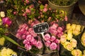 Roses for sale in Paris flower shop Royalty Free Stock Photo