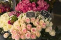 Roses for sale in Paris flower shop Royalty Free Stock Photo