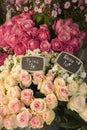 Roses for sale in Paris flower shop Royalty Free Stock Photo