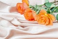 Roses on satin fabric Royalty Free Stock Photo