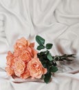 Roses on satin fabric Royalty Free Stock Photo