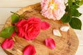 Roses and scattered petals on a stand made of wood cut