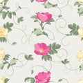 Roses seamless background