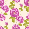 Roses seamless background