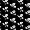 Roses seamless black and white geometric background - pattern for continuous replicate on black background. Royalty Free Stock Photo
