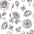 Roses seamless pattern. Hand drawn rose floral textere. Flower fabric repeat vector vintage background Royalty Free Stock Photo