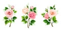 Roses. Set of vector design elements with pink and white rose branches Royalty Free Stock Photo