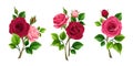 Roses. Set of vector design elements with red and pink rose branches Royalty Free Stock Photo