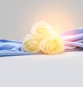 Roses on silk background Royalty Free Stock Photo