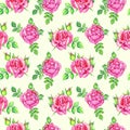 Roses soft pink flowers and leaves, hand painted watercolor illustration, seamless pattern design on yellow background Royalty Free Stock Photo