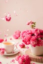 roses and tea cup served for breakfast on plain background, copy space for text, valentine's day, wedding or anniversary Royalty Free Stock Photo