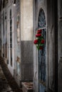 Roses at a tomb