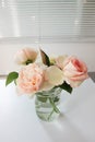 Roses in the vase,pink rose