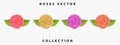 roses vector collection. hand drawn watercolor roses. roses vector design Royalty Free Stock Photo