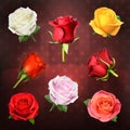 Roses vector icons