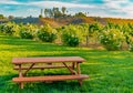 Roses and vineyards grow in the Temecula Valley of California Royalty Free Stock Photo