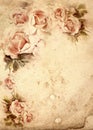 Roses vintage background